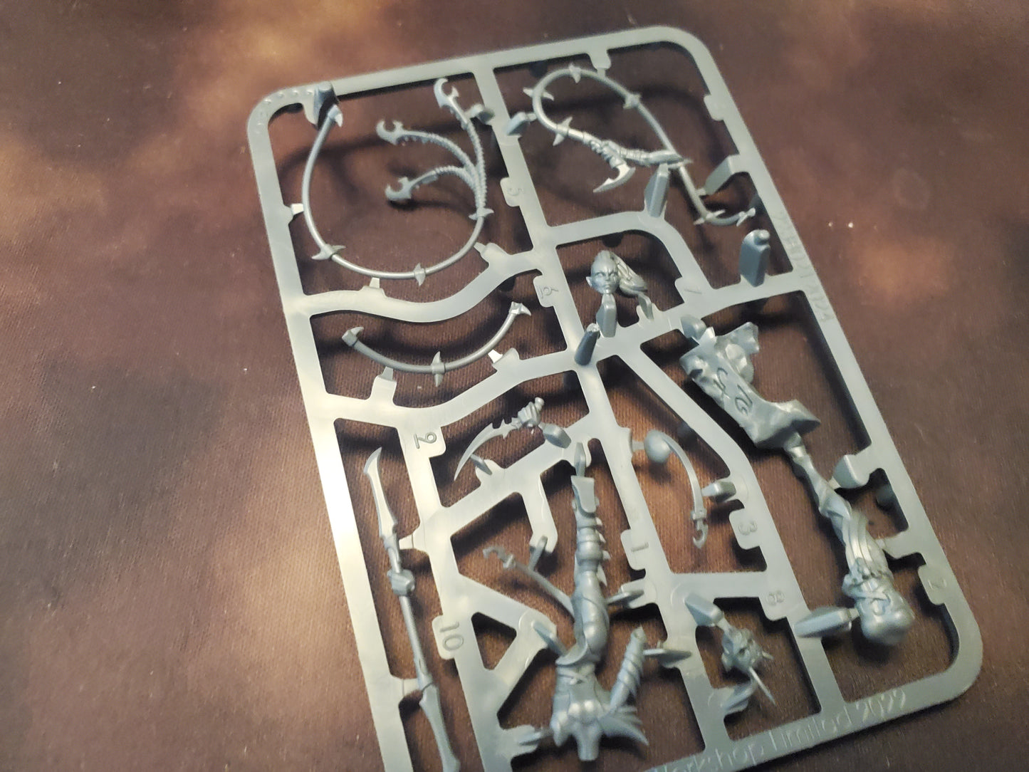 Warhammer Age of Sigmar AOS Daughters of Khaine Arena Shades High Gladiatrix