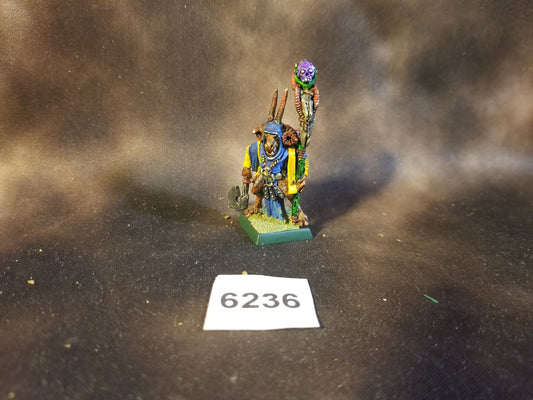 Warhammer Age of Sigmar AOS Destruction Beastmen Beasts of Chaos Shaman