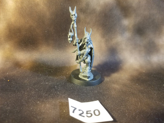 Warhammer Age of Sigmar AOS Destruction Beastmen Beasts of Chaos Shaman