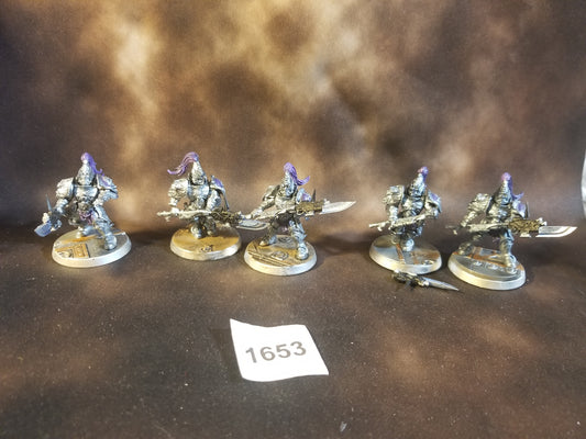 Warhammer 40k Adeptus Custodes Guardian Spears Wardens